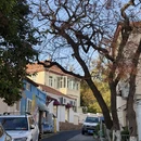 青岛旅游 缩略图 3