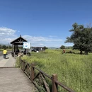 伊犁旅游 缩略图 8