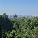 杭州旅游 缩略图 2