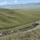 伊犁旅游 缩略图 2