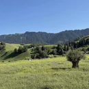 伊犁旅游 缩略图 9