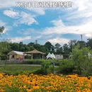 金华旅游 缩略图 1