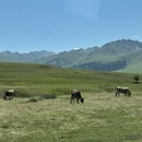 伊犁旅游 缩略图 4