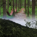湖州旅游 缩略图 8