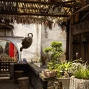 金华旅游 缩略图 6