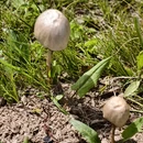 青岛旅游 缩略图 6