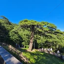 黄山旅游 缩略图 7