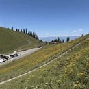 伊犁旅游 缩略图 1