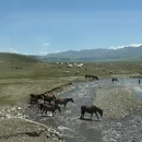 伊犁旅游 缩略图 3