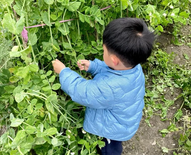 成都旅游 1