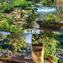 重庆旅游 缩略图 3