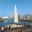 青岛旅游 缩略图 4