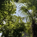 淮安旅游 缩略图 4