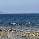 三亚旅游 缩略图 7