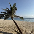 三亚旅游 缩略图 8