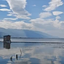 大理州旅游 缩略图 5