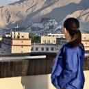 拉萨旅游 缩略图 4