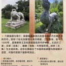南京旅游 缩略图 7