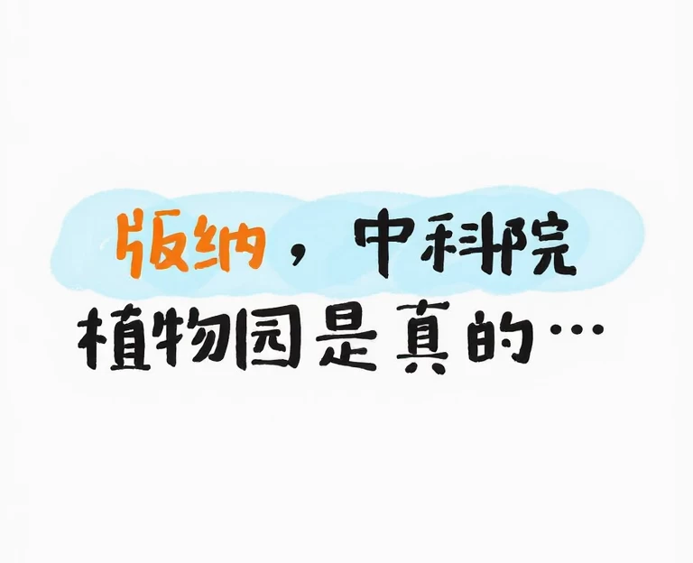 西双版纳旅游 1