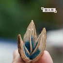 西双版纳旅游 缩略图 4