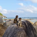 陵水黎族自治县旅游 缩略图 16