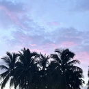 三亚旅游 缩略图 11
