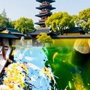 苏州旅游 缩略图 5
