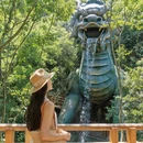 杭州旅游 缩略图 15