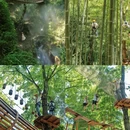 杭州旅游 缩略图 17