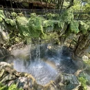 杭州旅游 缩略图 3