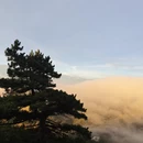黄山旅游 缩略图 2