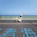 陵水黎族自治县旅游 缩略图 14