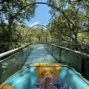 杭州旅游 缩略图 14