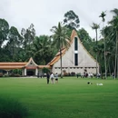 西双版纳旅游 缩略图 10