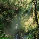 杭州旅游 缩略图 8