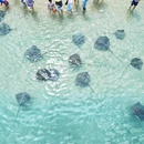陵水黎族自治县旅游 缩略图 4
