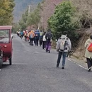 南京旅游 缩略图 1