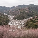 南京旅游 缩略图 5