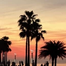 厦门旅游 缩略图 7