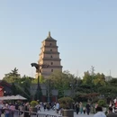 西安旅游 缩略图 6