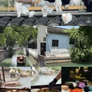 苏州旅游 缩略图 5