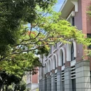 厦门旅游 缩略图 1