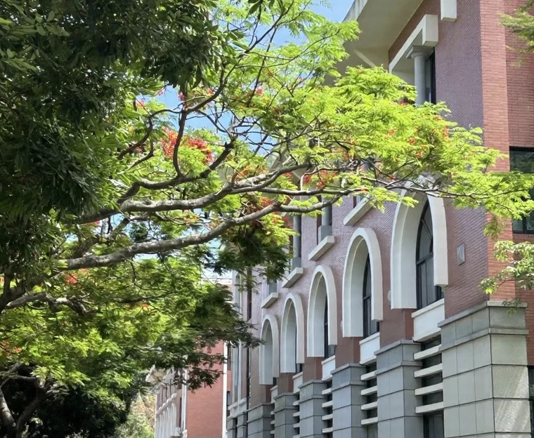 厦门旅游 1