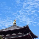 舟山旅游 缩略图 7