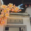 南京旅游 缩略图 11