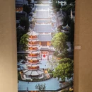 上海旅游 缩略图 10