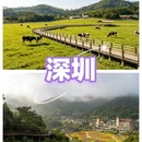 深圳旅游 缩略图 4