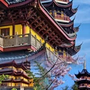 南京旅游 缩略图 6