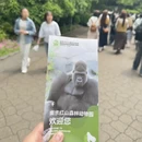 南京旅游 缩略图 8