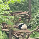 南京旅游 缩略图 9